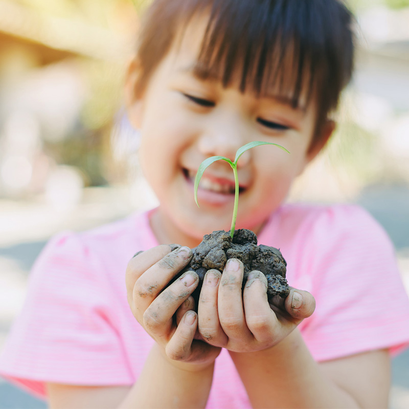 Klimawandel: "Wir schützen unser Klima" Projektkoffer 94-teilig