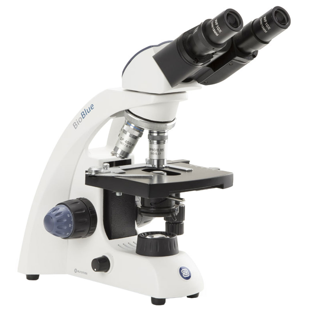 EUROMEX Mikroskop BioBlue BB.4263, binokular, 4x, 10x, S40x, S60x