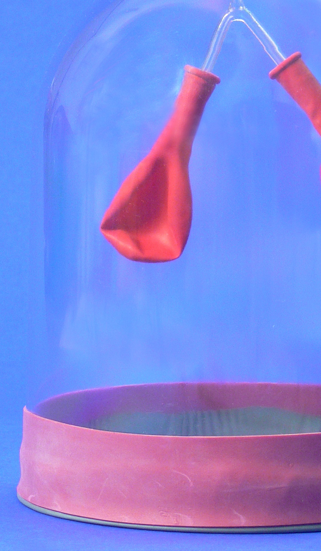 Menschliche Lunge, Ersatzmembran mit Band