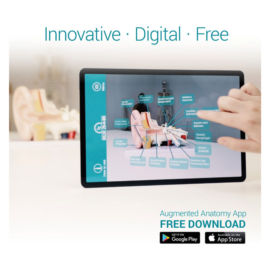 ERLER ZIMMER Haut Blockmodell - EZ Augmented Anatomy
