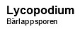 Lycopodium / Bärlappsporen, 500g