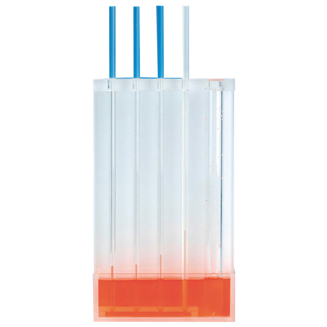 Kapillarröhrchen in Halter, Satz