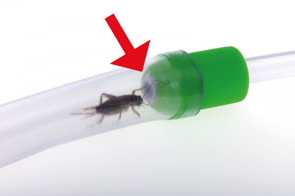 Käfer-Sauger, Sammelexhauster