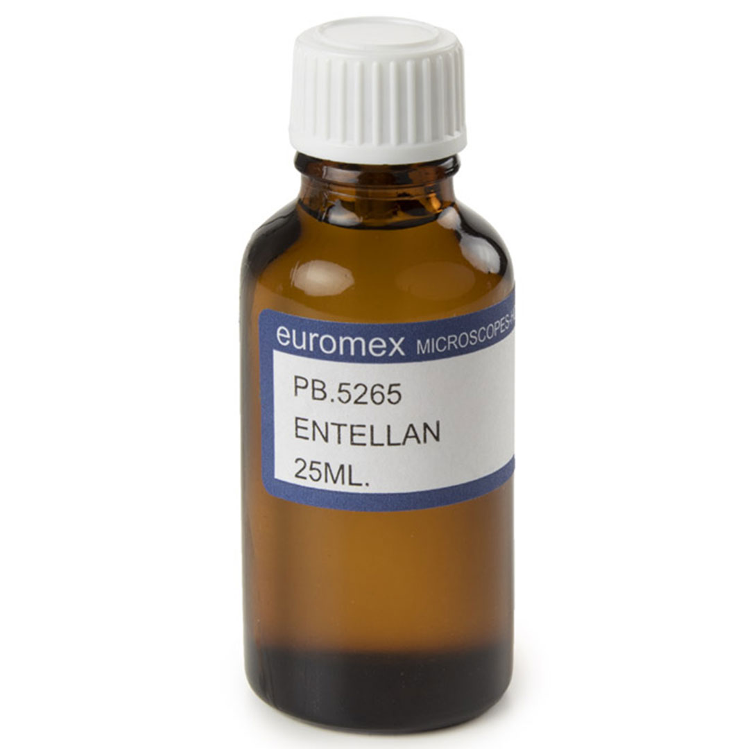 EUROMEX Entellan Schnelleindeckmittel , 25ml