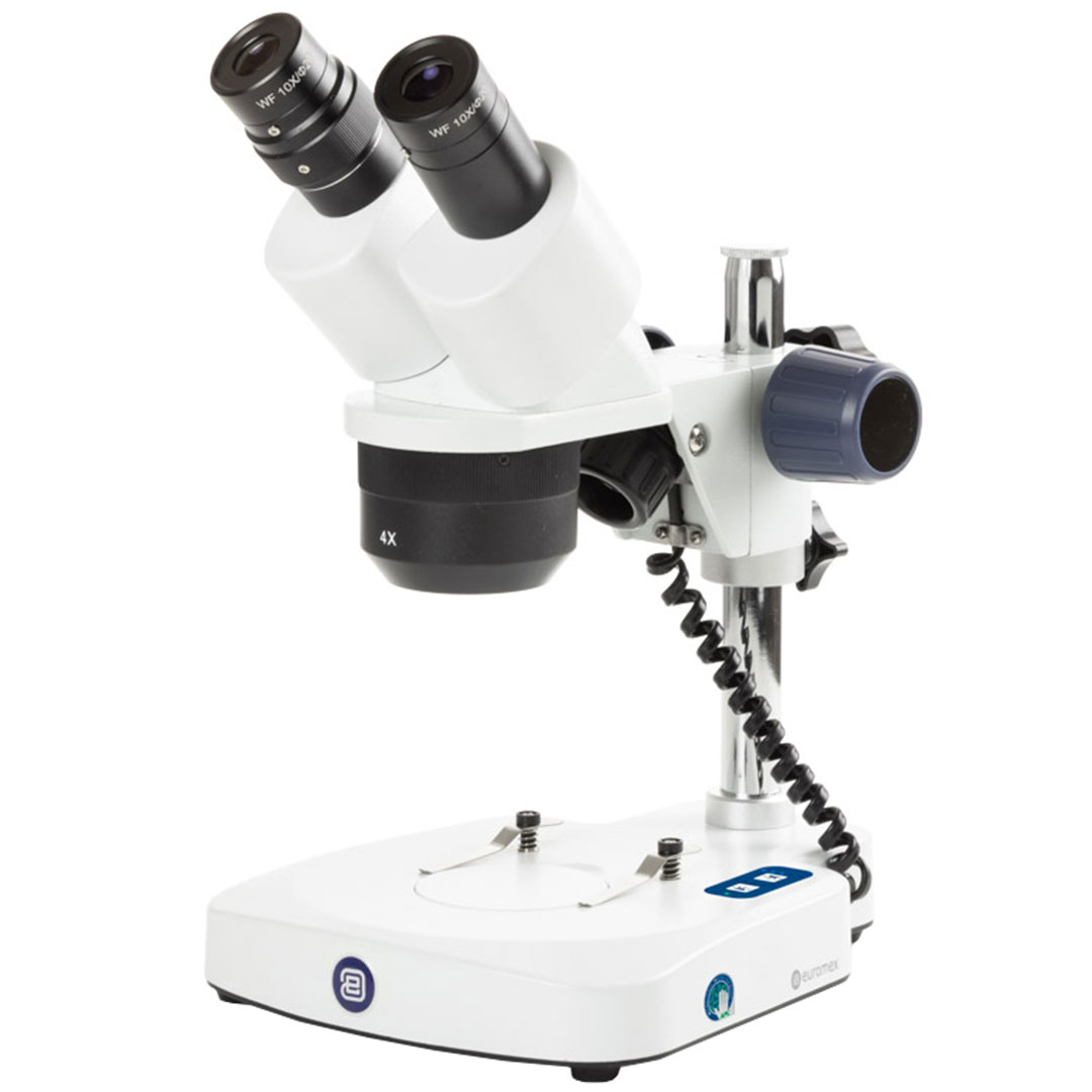 EUROMEX Mikroskop EduBlue ED.1402-P, binokular, 2x, 4x