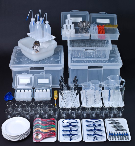 Labor-Grundausstattung Kindergarten  (für 8 Kinder)