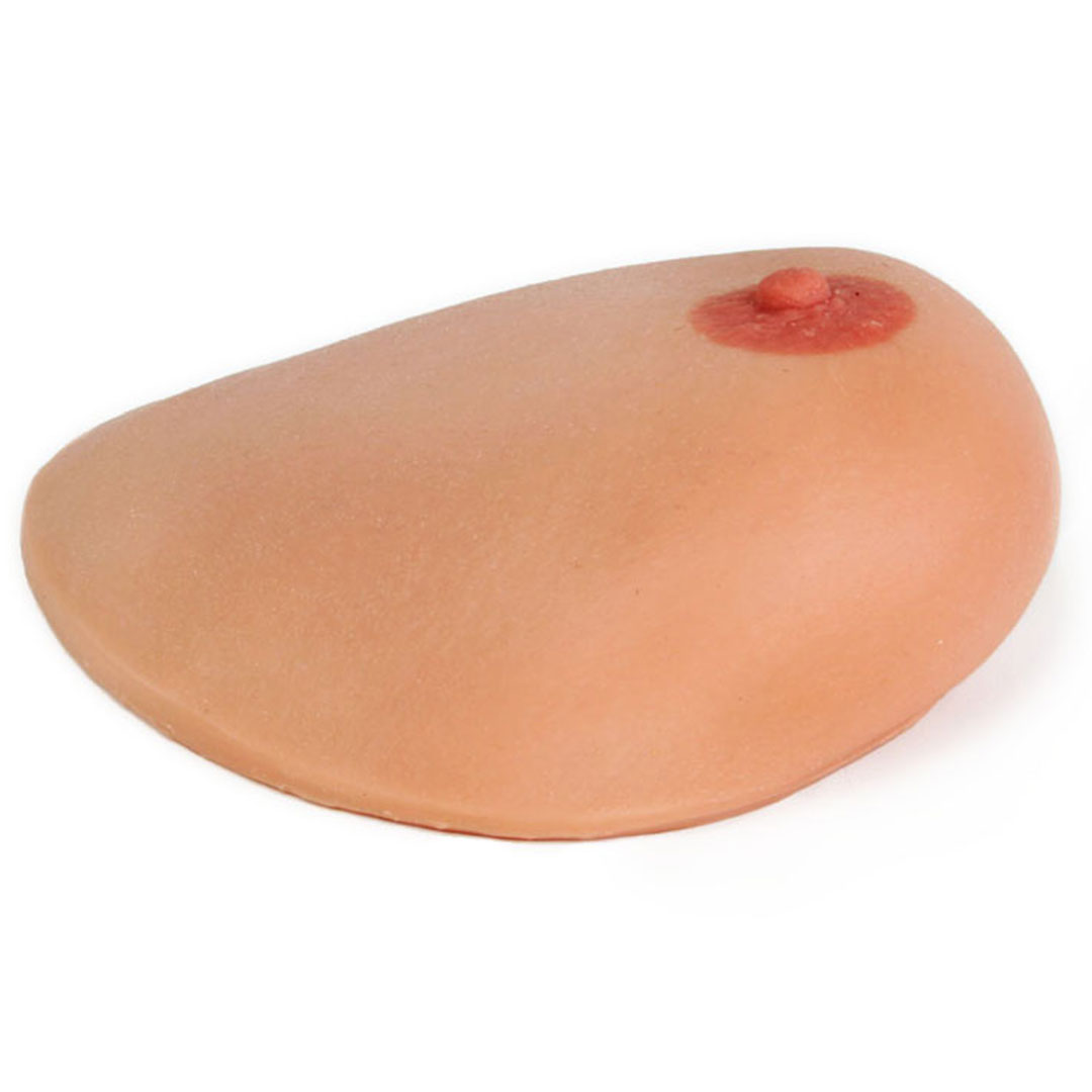 GAMPT Brustmodell mit Messprotokoll