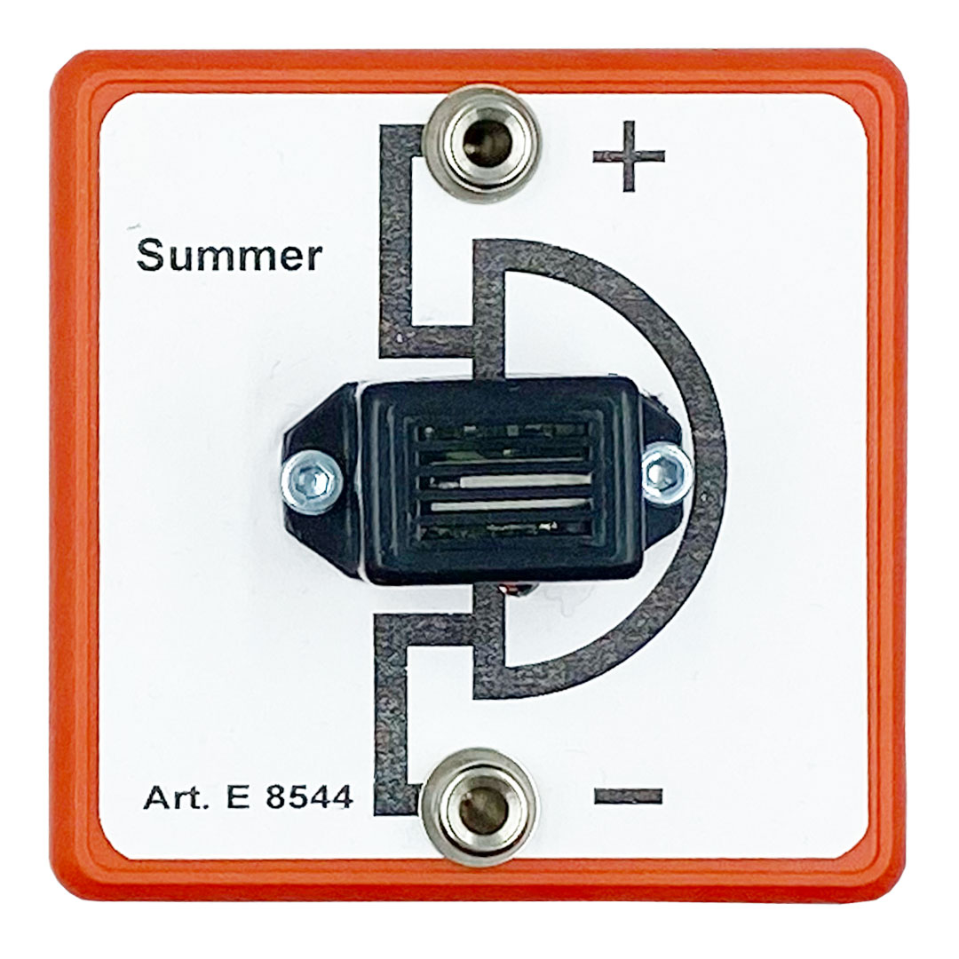 ELAR Summer