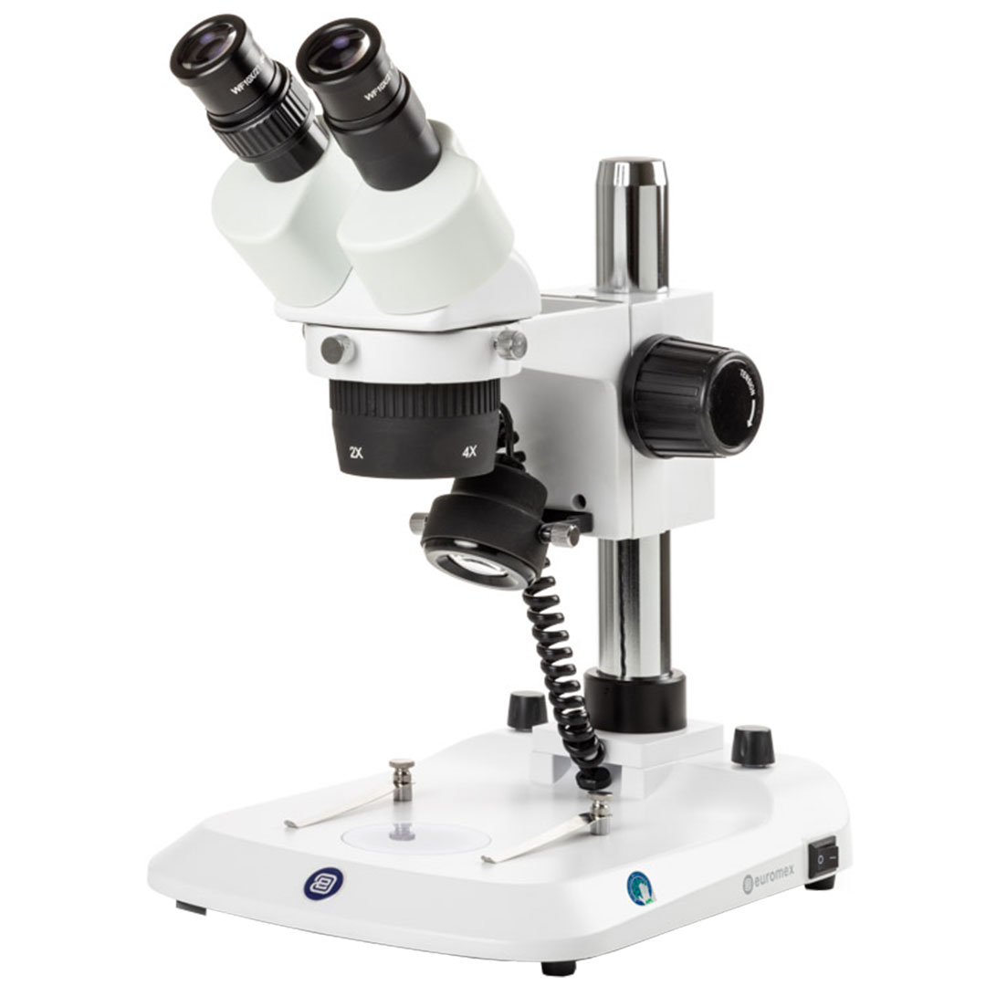 EUROMEX Mikroskop StereoBlue SB.1402P, binokular, 2x, 4x