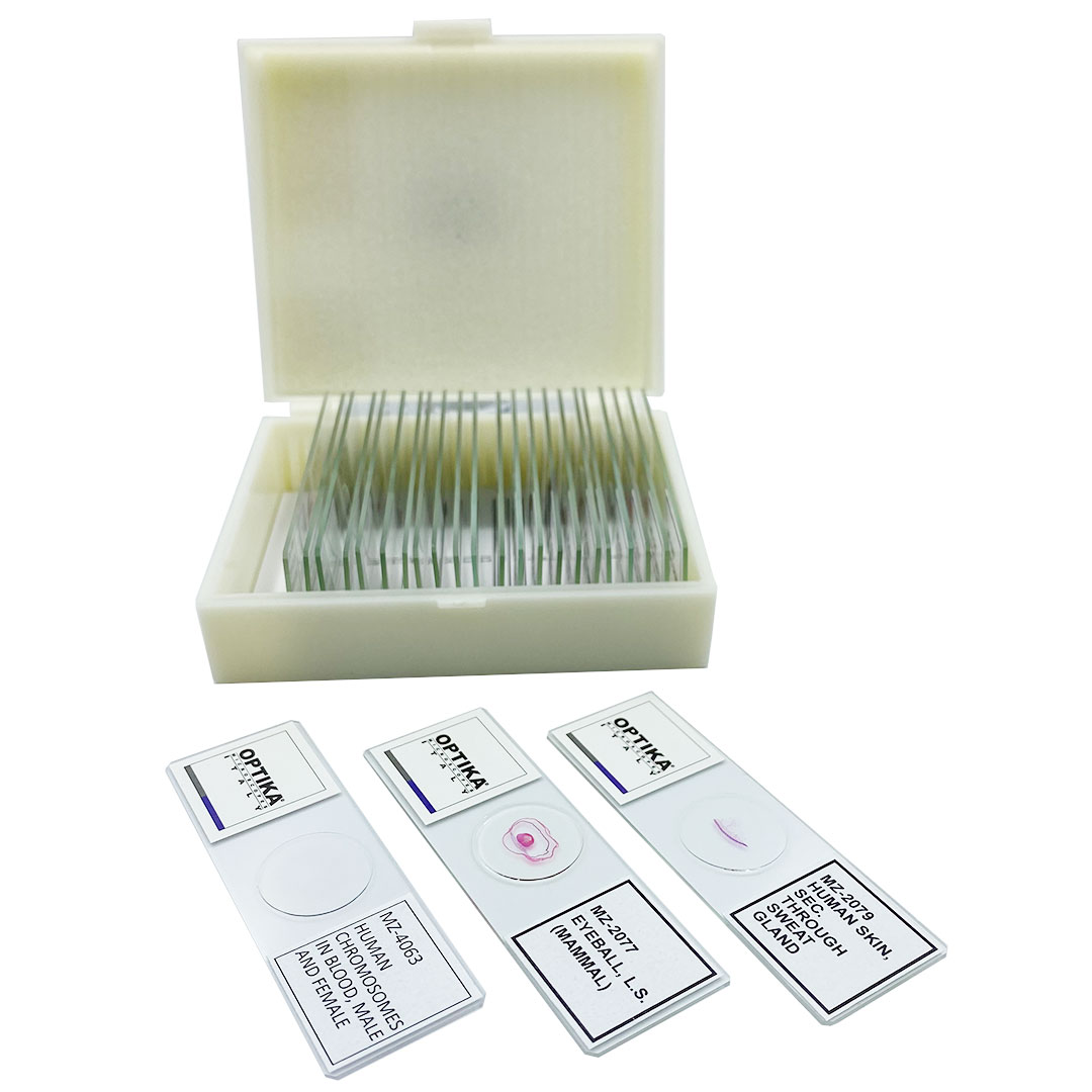 OPTIKA Mikropräparate Serie V, Histologie, 25 Stk