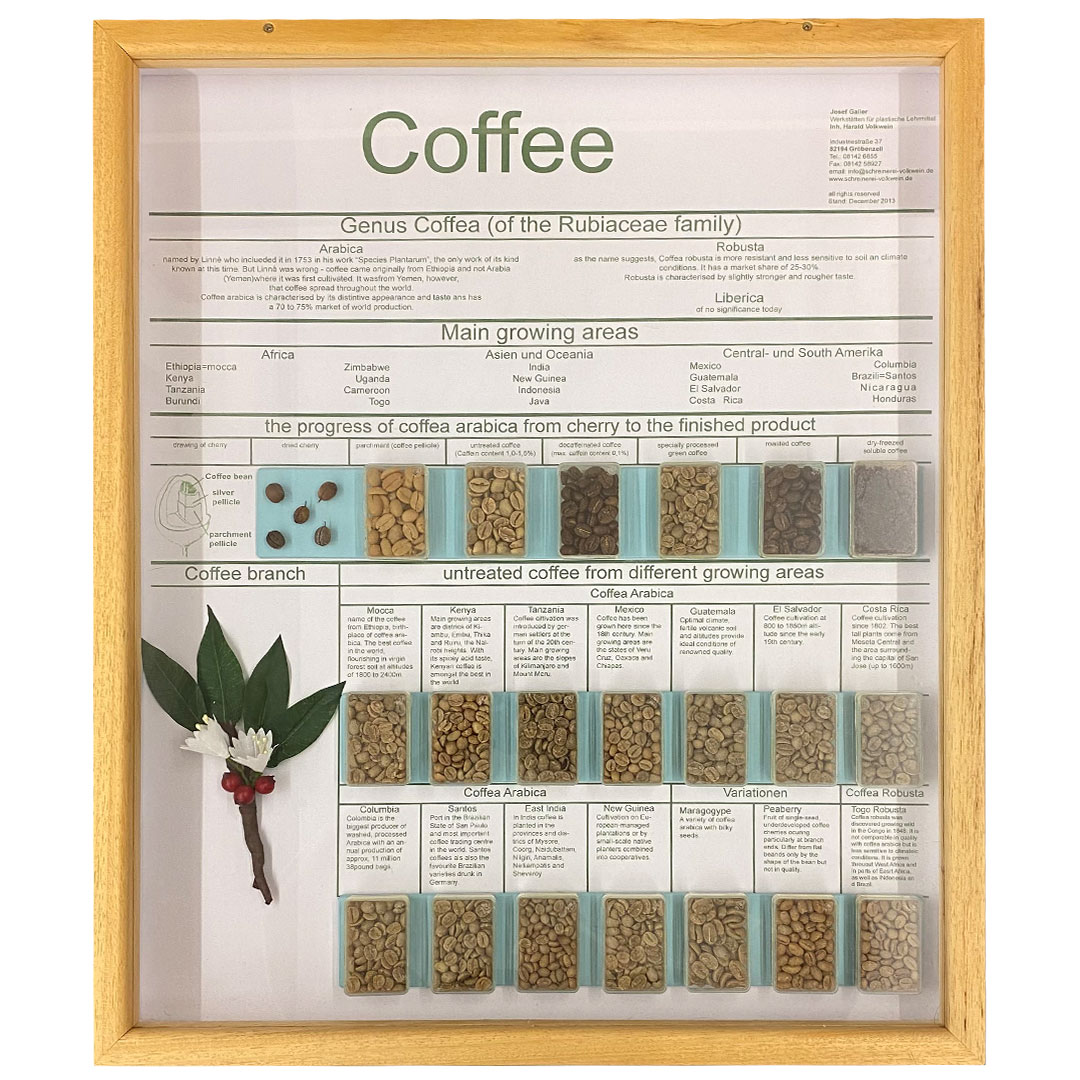 Schaukasten Kaffee Englisch, im Holzrahmen 50x60 cm