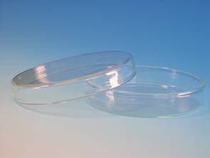 Petrischalen Glas,200x50mm