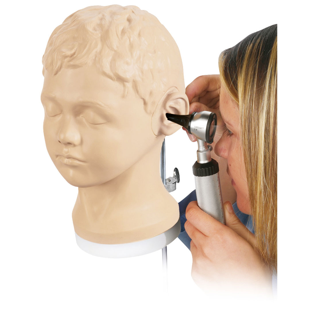 3B SCIENTIFIC Ohrentrainer für die Diagnose & Untersuchung