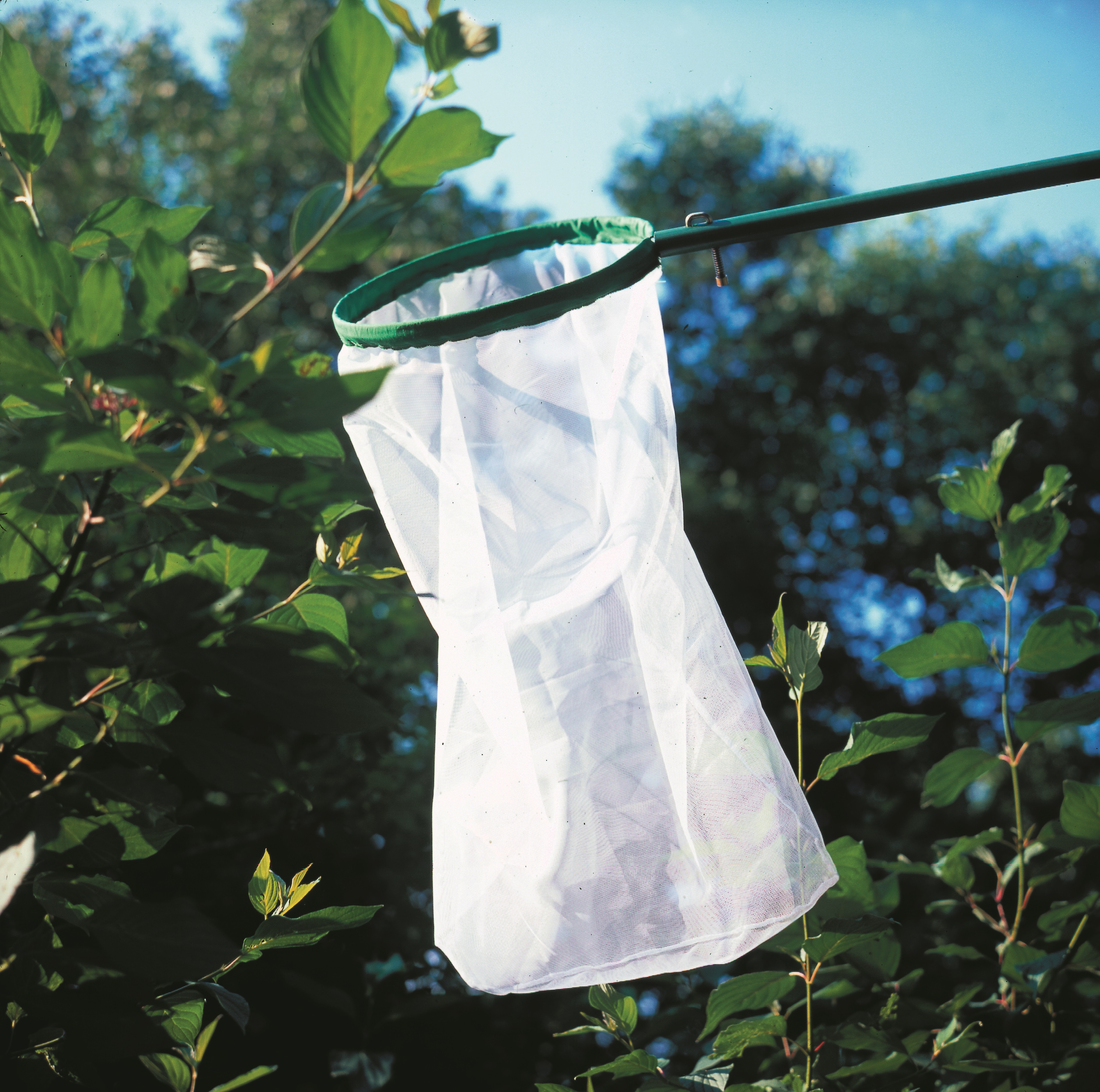 Fangnetz für Schmetterlinge D=290, Netzhöhe=680mm