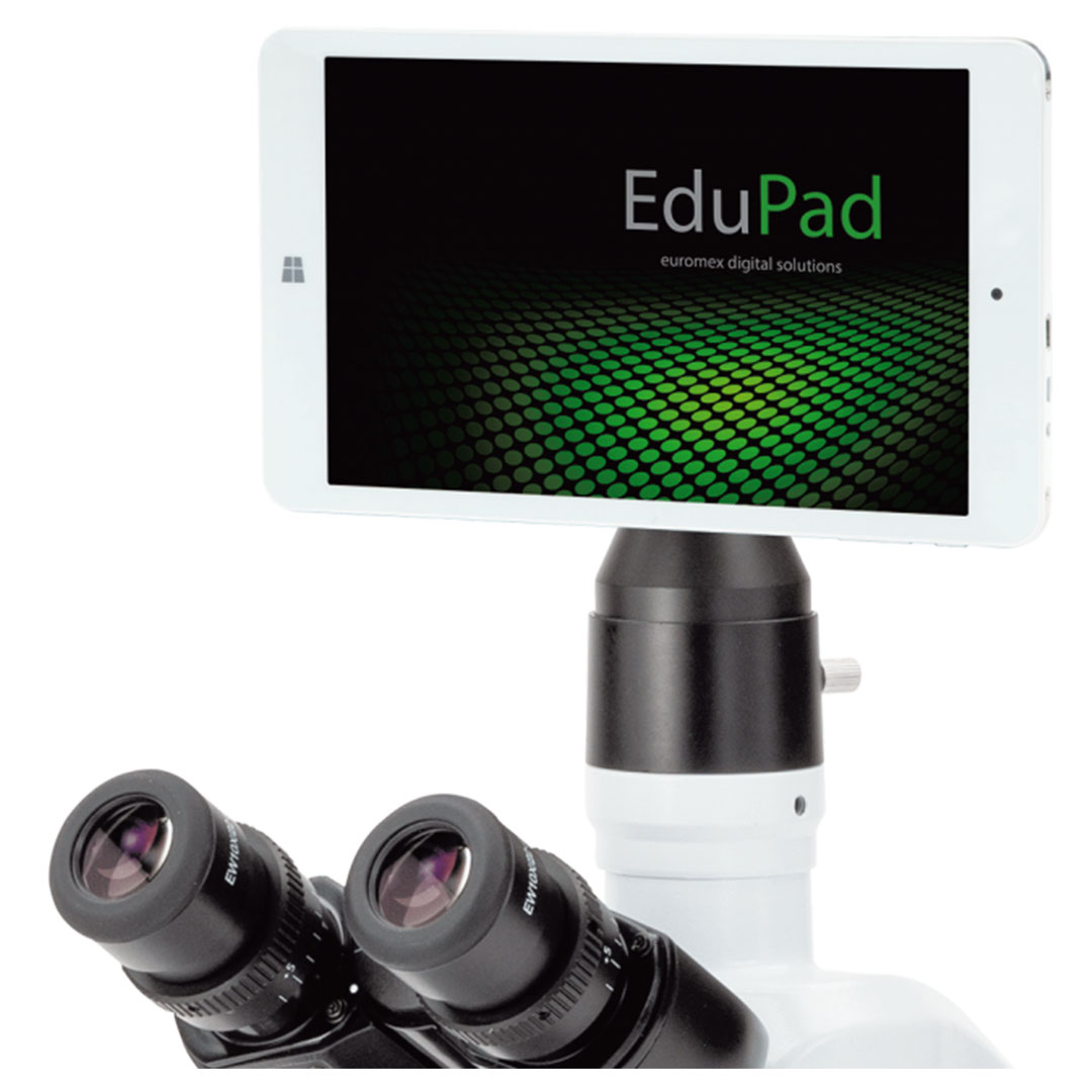 EUROMEX Kamera-Tablet EduPad-Wi-Fi, 5,0 MP, digital Wi-Fi EUROMEX Kamera-Tablet EduPad-Wi-Fi, 5,0 MP, digital Wi-Fi
