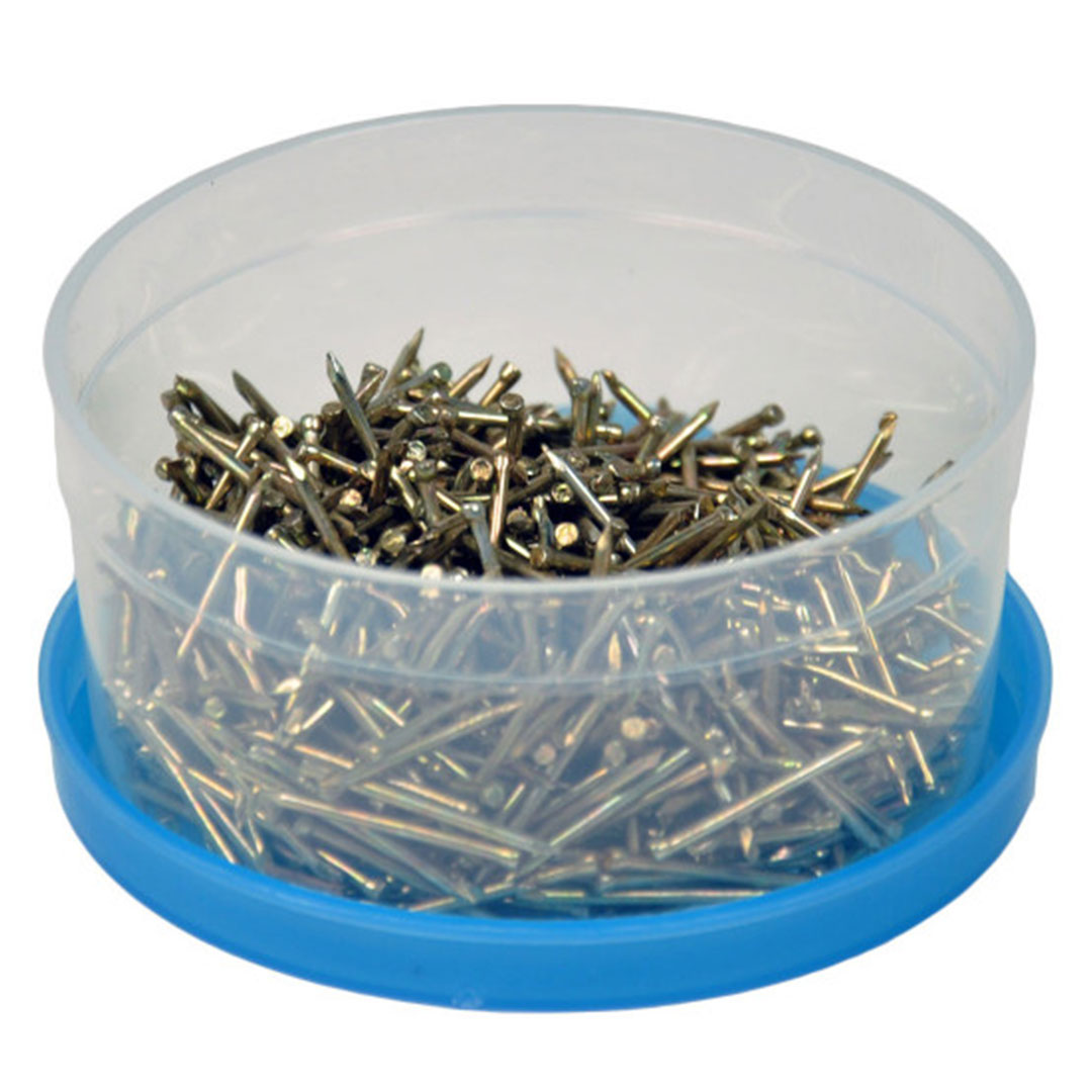 Eisennägel in Dose SE