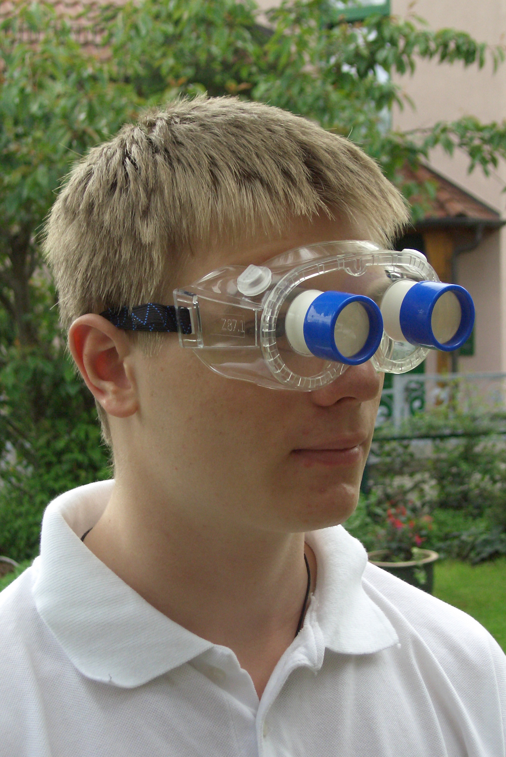 Facettenaugen-Brille