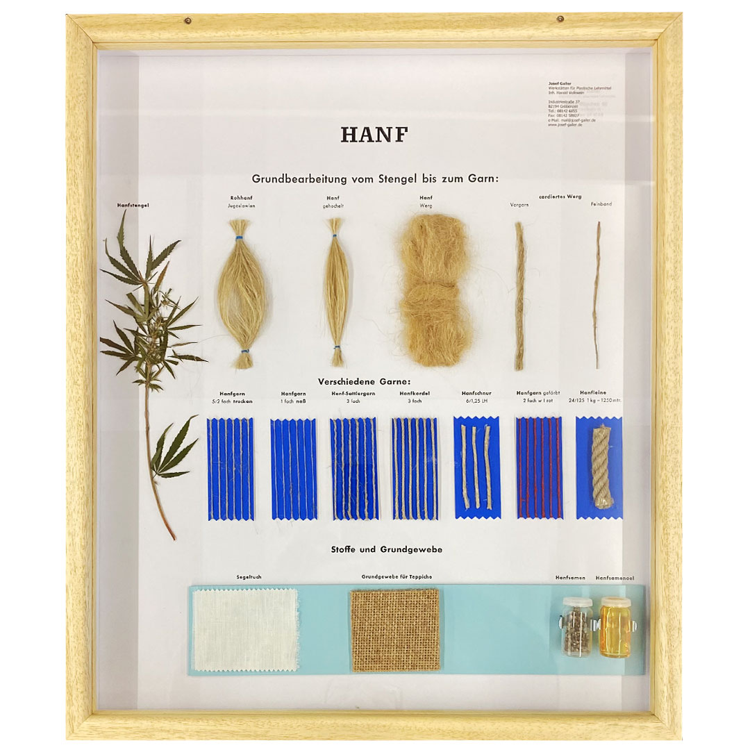 Schaukasten Hanf, im Holzrahmen 50x60 cm