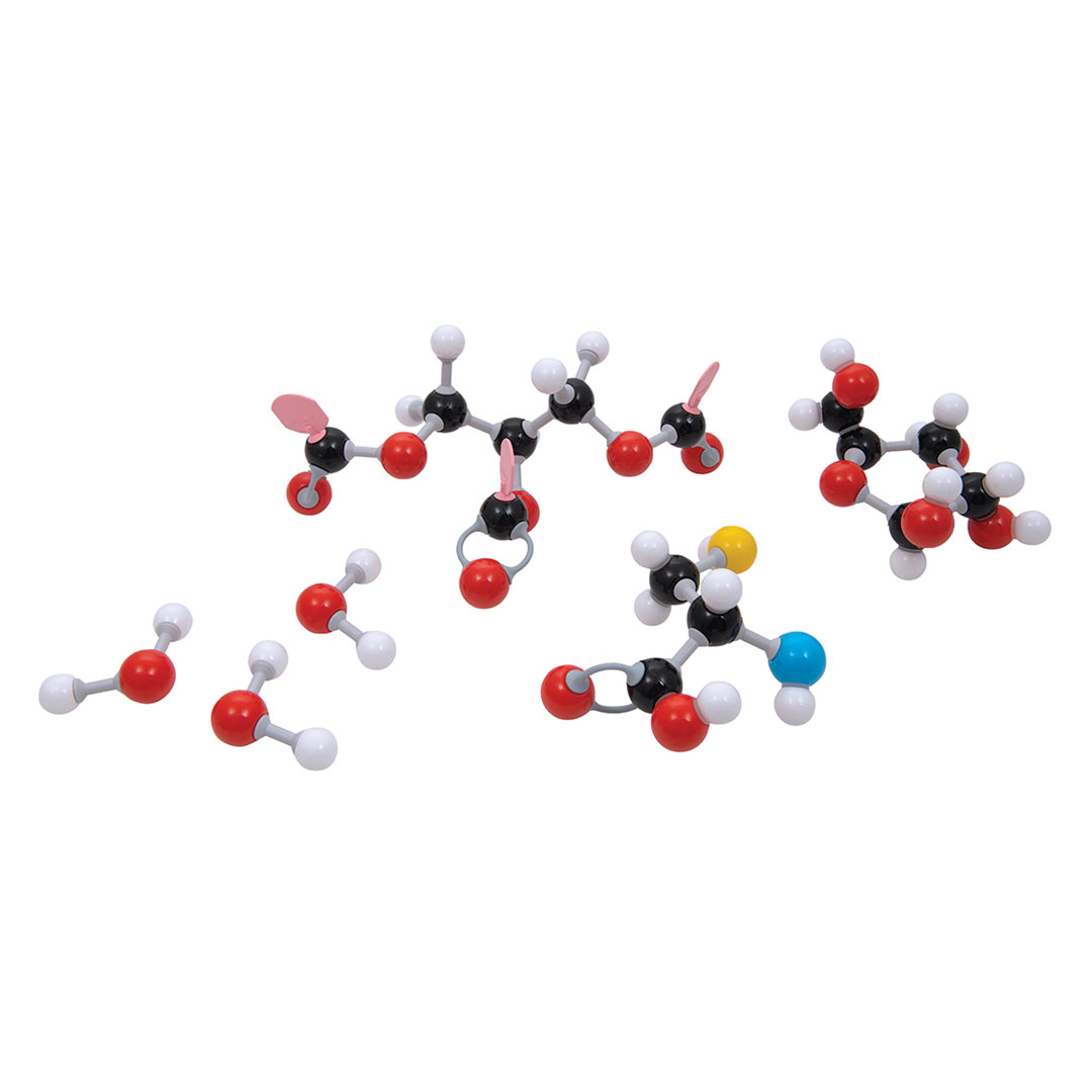 MOLYMOD Bausatz Molekül Organik Chemie Lehrer