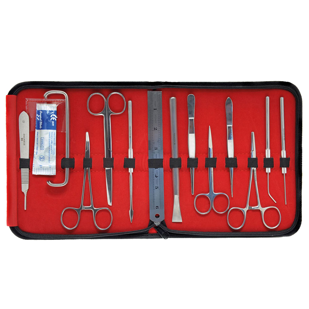 3B SCIENTIFIC Präparierbesteck gross (W579041) 3B SCIENTIFIC Präparierbesteck gross (W579041)