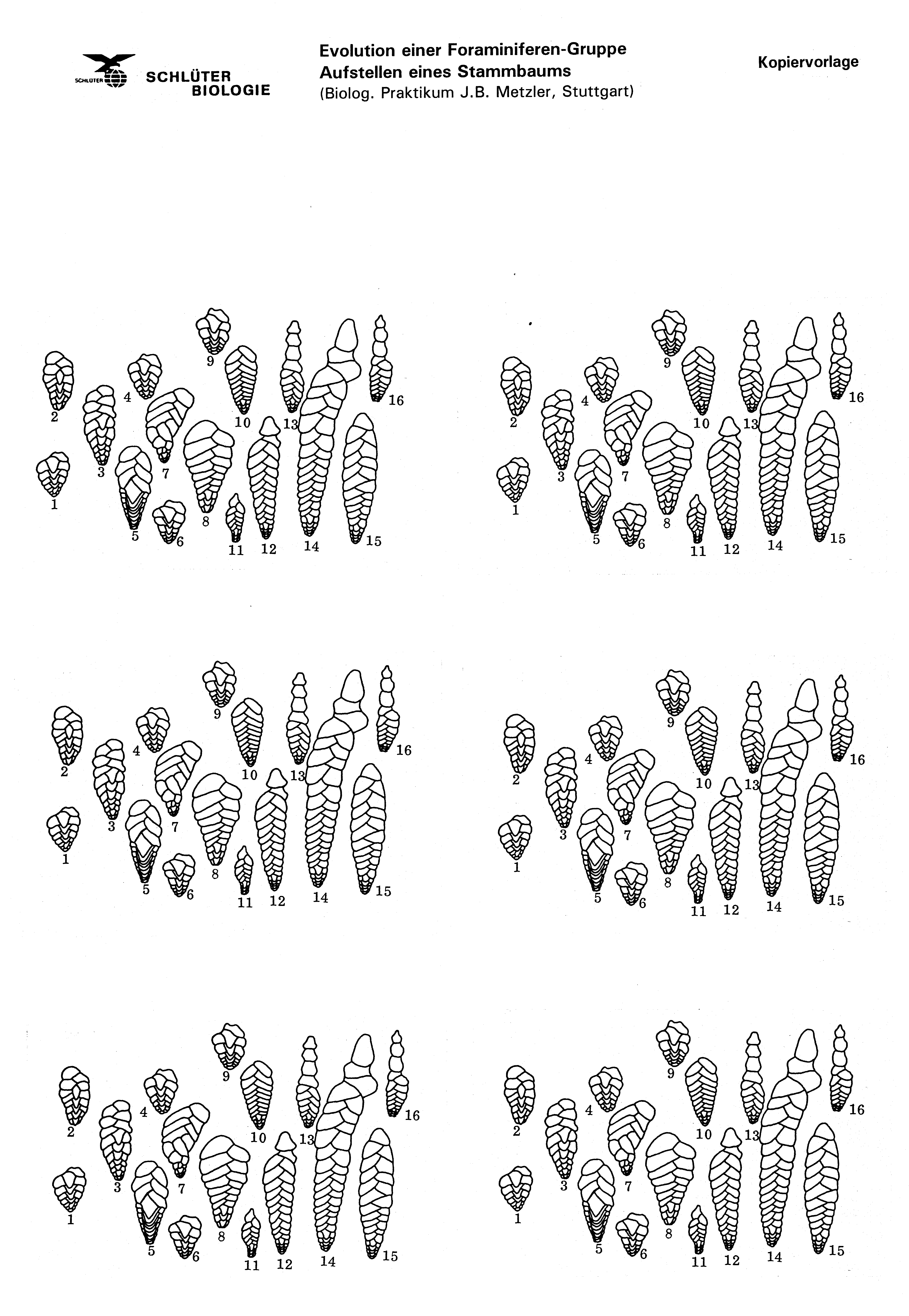Stammbusch d.Tierreichs, kompletter Kit