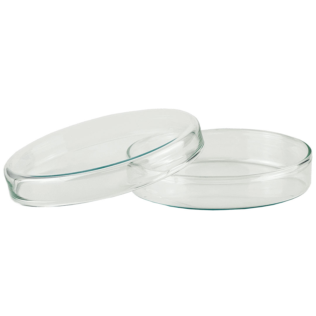 Petrischalen Natronkalkglas, 80x15mm