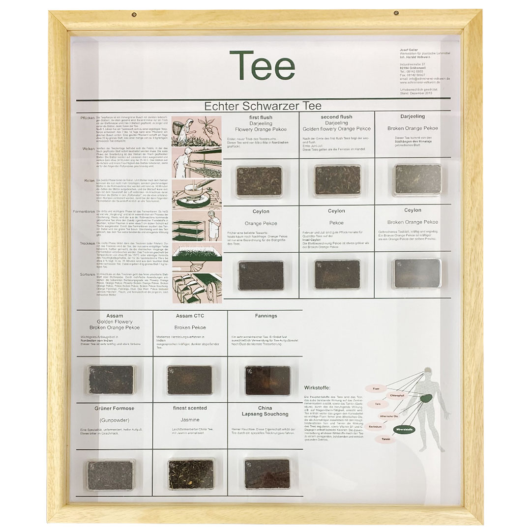 Schaukasten Tee, im Holzrahmen 50x60 cm