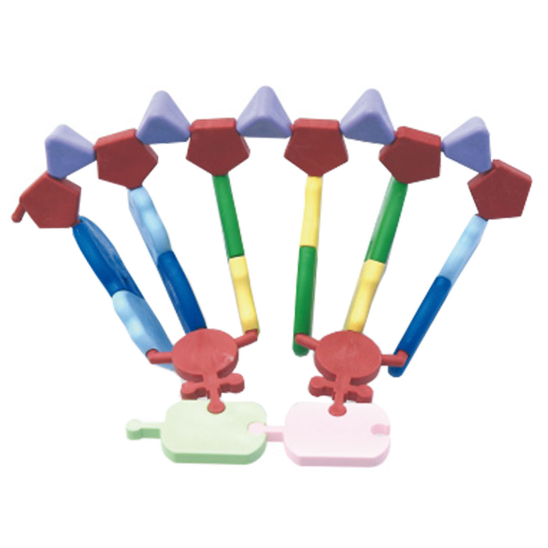 MOLYMOD Bausatz DNA RNA-Modell miniDNA