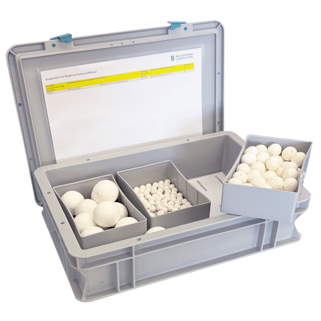 NaTech Gruppensatz "Modell der Kohlenstoff-Flüsse" 9.8.3